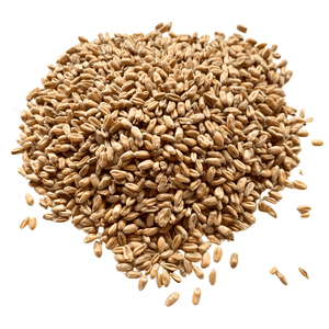 Granos de Trigo al Por Mayor Más Vendidos, Grado Alimenticio Premium, Suministro a Granel, Stock Disponible, Fabricante Exportador - Product Image 4