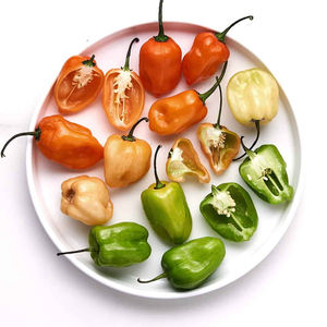 พริกฮาบาเนโรสดสำหรับซูเปอร์มาร์เก็ต ร้านขายของชำ และตลาดผักขายส่ง - Product Image 3