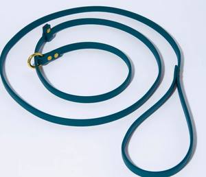 Laisse ajustable de 6 pieds : Biothane imperméable de 1/2 pouce avec couleurs et accessoires personnalisés - Product Image 3