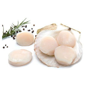 Vieiras Congeladas de Nueva Cosecha en Venta, Carne de Vieras Congelada de Alta Calidad |   Fabricantes de mariscos congelados para exportación, económicos y populares - Product Image 3