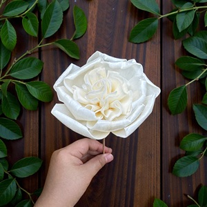 VADEE SOLA WOOD FLOWER Handmade Sustainable Ivory English Rose Sola Wood Flowers 8.5 CM Sesbania Plant Fiber Rod From Thailand - Product Image 3