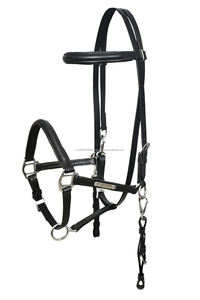 Ensemble de bride et de peitorale en cuir Endurance avec rênes et harnais, équipement et accessoires pour chevaux - Product Image 4