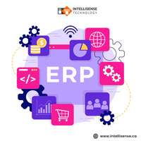 Développement de logiciels ERP sécurisés avec développement d'applications cloud personnalisées et modèles SaaS, solutions logicielles d'entreprise innovantes
