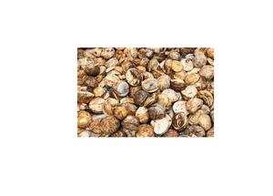 Trozos de caucho natural para tazas, 10 kg, de granja - Product Image 5