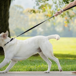 สายจูงสัตว์เลี้ยงคุณภาพพรีเมียม วัสดุทนทาน พร้อมตะขอแข็งแรง ด้ามจับสบายมือ สำหรับการเดินเล่นประจำวัน การฝึก และการเดินทางกลางแจ้ง - Product Image 2