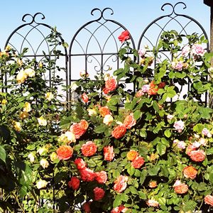 Set di 4 tralicci da giardino in metallo antiruggine da 180 cm x 50 cm per piante rampicanti, supporto per fiori da esterno - Product Image 6