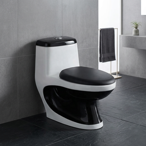 WC monobloc moderne bicolore en céramique avec lavabo intégré pour projets de salle de bain de luxe contemporains - Product Image 4