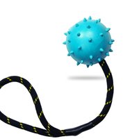 Nettoyage des dents de chien, cordes en coton, jouets pour animaux domestiques, à mâcher, boule de corde en caoutchouc