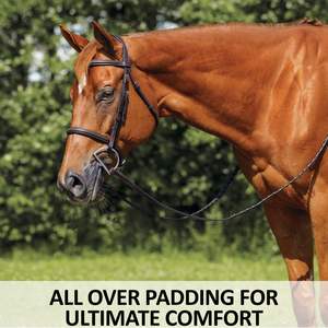 Brida Ecuestre de Cuero con Purpurina OEM, Anatómica, con Logotipo Personalizado, MH GLOBAL EXPORTS, con Riendas Acolchadas Suaves - Product Image 5