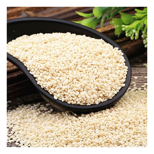 เมล็ดงาขาวปอกเปลือกสะอาด สำหรับขนมเบเกอรี่และขนมหวาน - Product Image 3