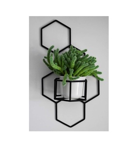 Maceta colgante de pared de hierro negro vintage personalizable para decoración rústica de casa de campo - Product Image 3