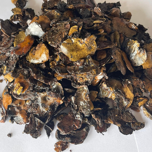 EXTRACTO DE CÁSCARA DE ANACAR KMI |   RESIDUO DE CÁSCARA DE ANACAR - MEJOR PRECIO PARA PEDIDOS AL POR MAYOR - SUMINISTRO ESTABLE - Product Image 1