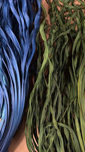 Décorations Esthétiques en Feuilles de Palmier Colorées en Gros – Feuilles Tropicales Séchées au Soleil, Art Mural Vibrant et Remplisseurs de Vases pour la Décoration Intérieure - Product Image 3