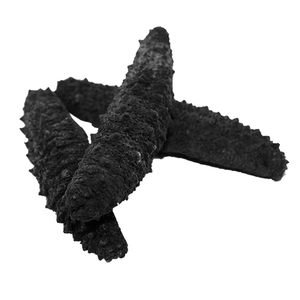 Mejor precio Pepino de mar seco/pepino de mar a precio competitivo - Product Image 4