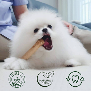 Juguetes Naturales de Madera de Café para Perros, Ecológicos, Duraderos, Palitos Dentales para Mascotas, Resistentes a Mordidas, Seguros y Saludables para la Dentición - Product Image 4