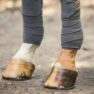 Horse <b>Leg</b> Protection High Quality Fleece Bandages 2026 Polo Wraps Breathable Horse Care Products Horse Bandages Wraps - Product Image 3