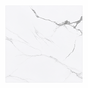 800x800mm Ceramic Polished Glazed Vitrified Acid-Resistant Anti-Slip Floor Tile 10mm Thickness 5 Year Warranty Oasis Brand Villa - Product Image 1