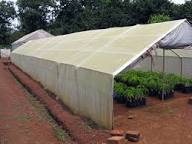 Bâche de protection contre les intempéries en HDPE pour plantations - Product Image 5