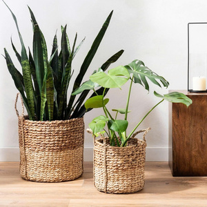 Natural straw planting basket <b>planter</b> top quality water hyacinth plant holder pot <b>planters</b> - Product Image 5