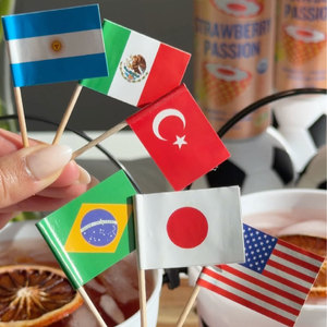 Guirnalda de Banderines Internacionales de Diversos Países, Banderas Tejidas de Polipropileno con Impresión por Transferencia de Calor para Decoración de Fiestas - Product Image 6