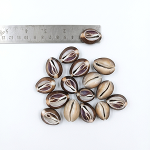 Coquillages de mer naturels coupés pour la fabrication de bijoux, l'artisanat, les accessoires de mode, les projets décoratifs et la vente en gros - Product Image 1