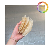 Coquille de capiz naturelle pour la décoration artisanale, matériau écologique pour la décoration intérieure et l'éclairage