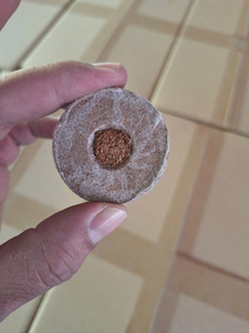 Pellets de coco écologiques de haute qualité, disques de tourbe compressés durables de qualité supérieure, les plus vendus pour le jardinage (vente en gros) - Product Image 2