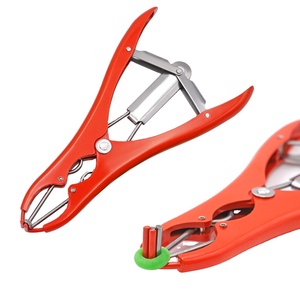 Forceps de Castration Animale Réutilisables en Acier Inoxydable de Qualité Supérieure, 12 Pouces, Instrument Chirurgical Vétérinaire, Modèle Élastrateur pour Chevaux - Product Image 2