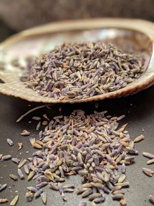 ดอกลาเวนเดอร์แห้งขายดีที่สุด ปี 2026 สำหรับบรรเทาความเครียดและช่วยการนอนหลับ เหมาะสำหรับผสมชา คุณภาพพรีเมียม พร้อมจัดส่ง - Product Image 5