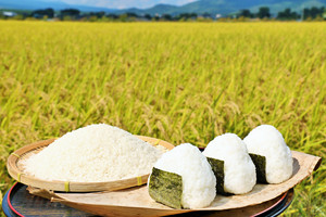 Arroz Sushi de Grano Corto de Primera Calidad, Variedades Industriales Japonesas de Excelente Calidad - Product Image 3