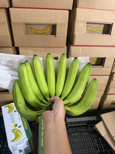 HACCP Certified Cavendish <b>Banana</b>, Halal Friendly Export - Product Image 5