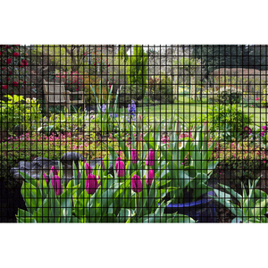 Malla de Alambre Soldada Recubierta de Vinilo Negro de 60 Pulgadas x 50 Pies, 2x4, Calibre 16, para Gallinero, Malla de Alambre Soldada Recubierta de PVC - Product Image 3