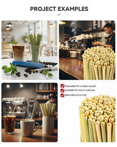 Pajitas Desechables Biodegradables y Compostables de Bambú Certificado, Estilo Clásico DR - Paquete al por Mayor - Product Image 3