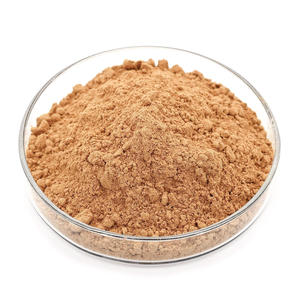 Extrait de kaki 100% original en vrac 10:1 en poudre, qualité alimentaire naturelle, à base de plantes, Inde - Product Image 1