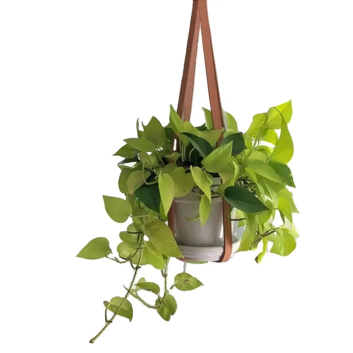 Buffalo Leather Plant Hanger Modern Hanging Planter Leather Hanger Strap Plant Decoration Wall Europe POTS Flower Plant Hanger