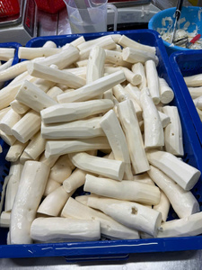 Yuca Blanca Pelada Congelada / Raíces de Yuca Blanca para Aplicaciones Culinarias, Exportación, Distribución y Paquetes Minoristas de 500g - Product Image 6
