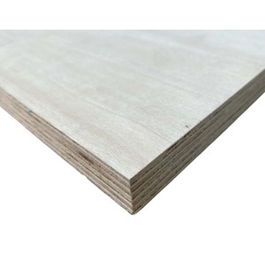 Contreplaqué Hysen 18 mm en peuplier avec placage de bouleau pour meubles - Product Image 6