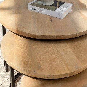 Mesa de Centro Vandana Astra Optima de Madera de Mango Blanqueada para Interiores de Sala de Estar Moderna - Product Image 2