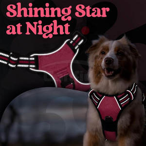 Arnés Resistente con Correa de Pecho Ajustable, Interior Suave y Ajuste Cómodo para Uso en Exteriores, Tallas Grande, Mediana y Pequeña - Product Image 6