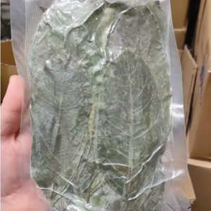 Vietnam Prime Dried Soursop Leaves - Product Image 1