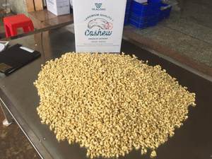 เม็ดมะม่วงหิมพานต์เวียดนาม WW180, 210, 240, 320, 450 คุณภาพพรีเมียม ราคาแข่งขันสำหรับผู้นำเข้าทั่วโลก [Evelyn] - Product Image 3