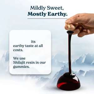 Private Label Himalayan Shilajit Gold Gummies Dietary Supplement Shilajit Gummies With Pure Ashwagandha Extract Powder - Product Image 6