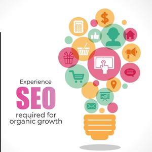 手頃な価格で高度な技術によるウェブサイト最適化とSEOスペシャリストサービスを提供 - Product Image 2