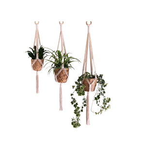 Macramé Colgante para Plantas, Macramé Decorativo para Interiores y Exteriores, Cesta Colgante para Plantas, Cuerda de Algodón, Decoración para el Hogar, Proveedor Indio - Product Image 3