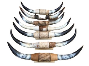 Juego de Cuernos de Toro Montados, Ecológicos, Hechos a Mano, Rústicos, Modernos, con Diseño Animal, Cuernos Pulidos, Decoración del Hogar Estilo Western, Pascua - Product Image 2
