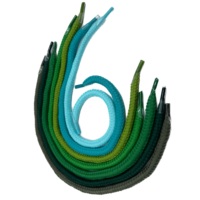 Cordon tressé en polyester écologique avec embouts en plastique couleur personnalisée – Idéal pour vêtements, chaussures, textiles de maison, poignées de sacs en papier