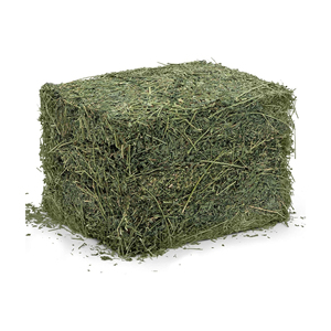 Foin d'alfalfa à vendre à des prix de gros compétitifs pour les fournisseurs d'aliments pour bétail - Product Image 5