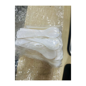 Mother of Pearl Decorative Seashell Spoon Handmade in Vietnam for Dining Tableware Wholesale Trade - Product Image 1