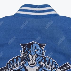 Veste universitaire personnalisée pour femme, corps en laine bleu ciel et manches en cuir PU blanc, veste de baseball universitaire brodée pour femme - Product Image 5