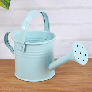 Arrosoir en métal bleu clair avec long bec verseur, grande poignée et tête de pulvérisation multi-trous, arrosoir de jardin en métal durable - Product Image 1